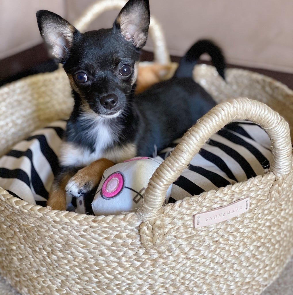 Basket Bed in Black & Tan Stripe